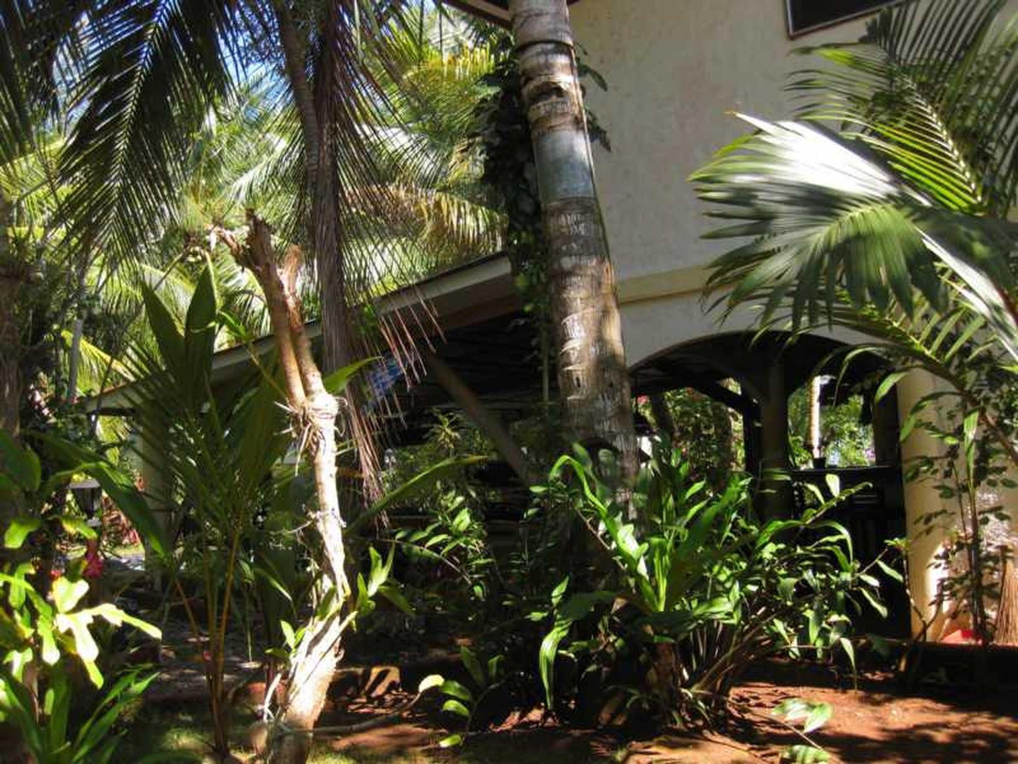 Calypso Resort Panglao Exterior photo
