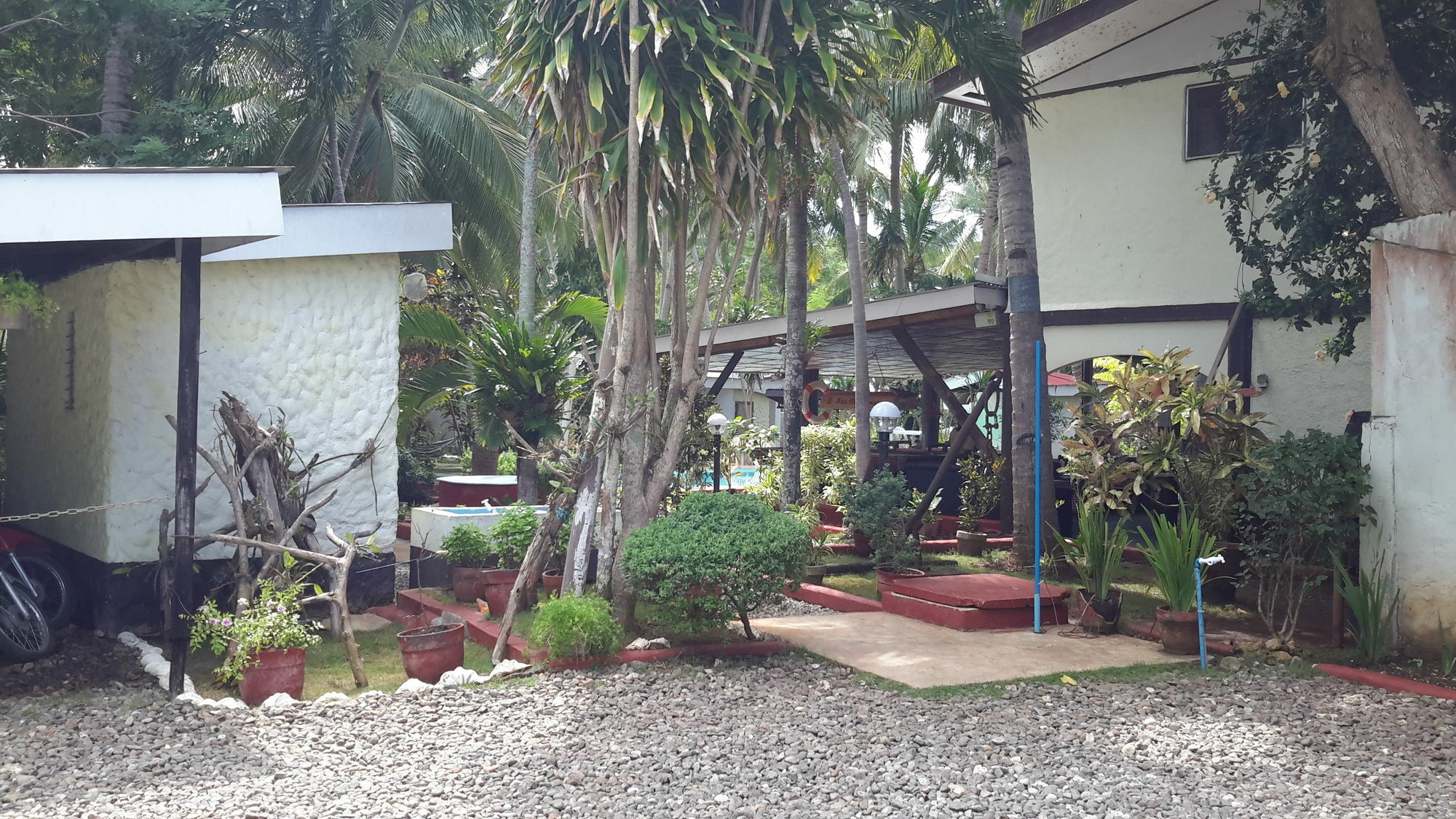 Calypso Resort Panglao Exterior photo